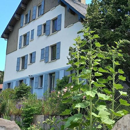 Chalet Du Doumet - Appart Luz Centre - Parking Et Garage Individuel Ferme - Draps Et Serviettes Inclus Luz-Saint-Sauveur Exterior photo